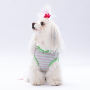 PawStar Mint Sunny Kapşonlu T-Shirt