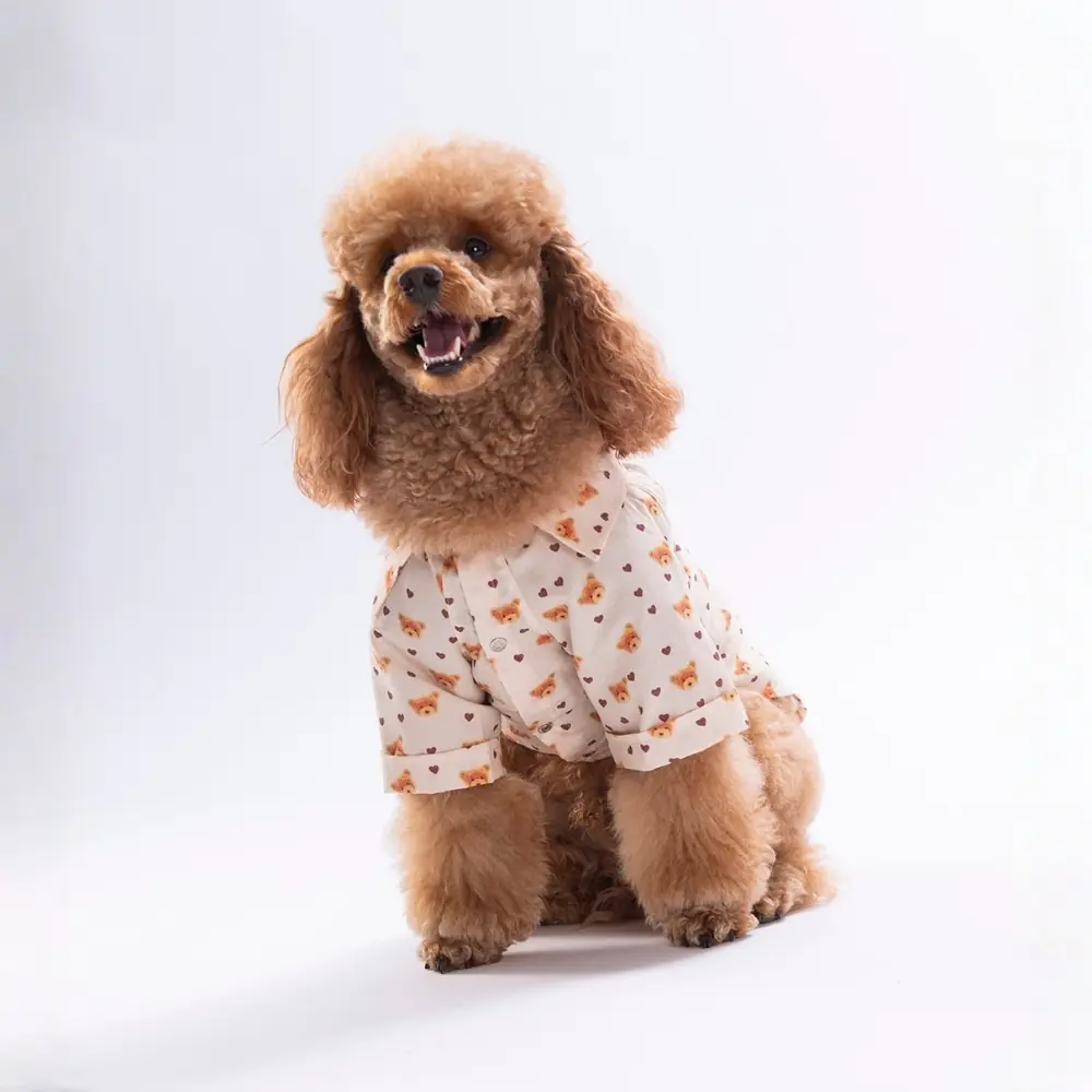 PawStar 26404 Teddy Belle Desenli Gömlek