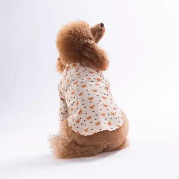 PawStar 26404 Teddy Belle Desenli Gömlek