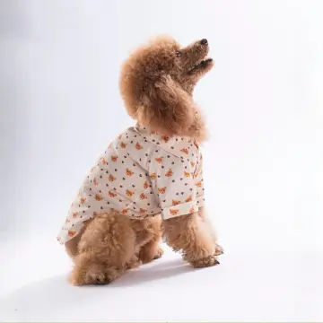 PawStar 26404 Teddy Belle Desenli Gömlek