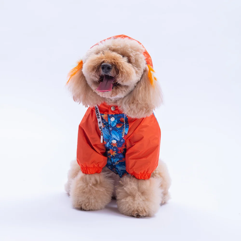 PawStar 25515 Amsterdam Fall Yağmurluk