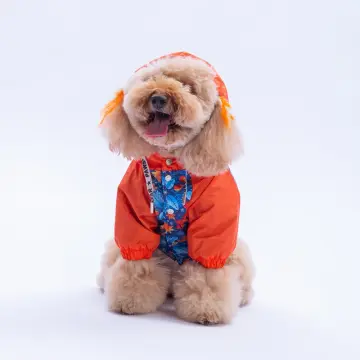 PawStar 25515 Amsterdam Fall Yağmurluk