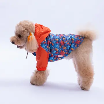 PawStar 25515 Amsterdam Fall Yağmurluk