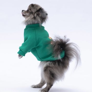 PawStar Yeşil Chogqing Sweat Küçük ve Orta Irk