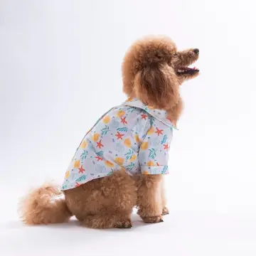 PawStar 26402 Aqua Reverie Desenli Gömlek
