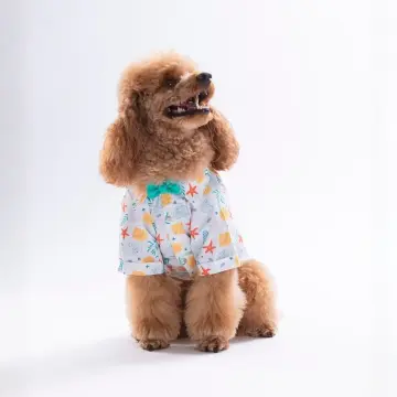 PawStar 26402 Aqua Reverie Desenli Gömlek