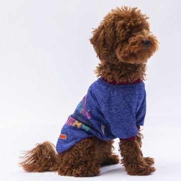 PawStar Mavi Everything Will Be Okay Küçük Irk Sweat