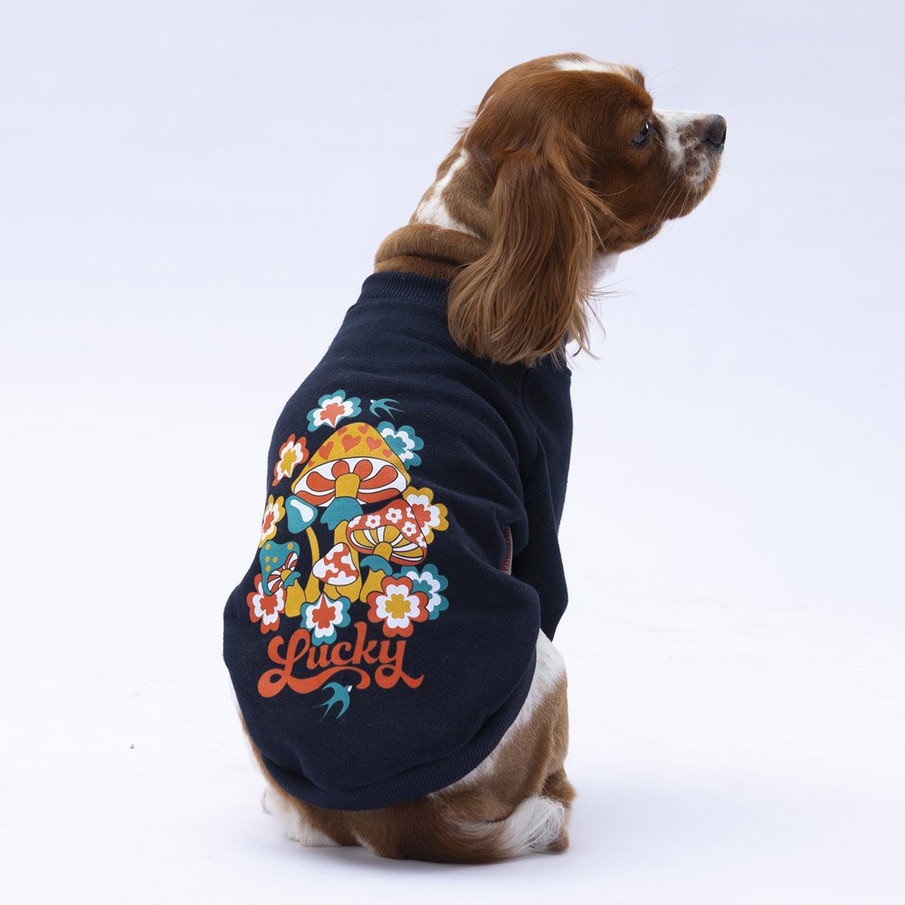 PawStar Siyah Chogqing Sweat Küçük ve Orta Irk