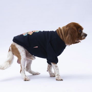 PawStar Siyah Chogqing Sweat Küçük ve Orta Irk