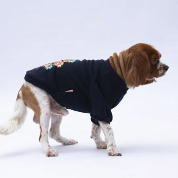 PawStar Siyah Chogqing Sweat Küçük ve Orta Irk