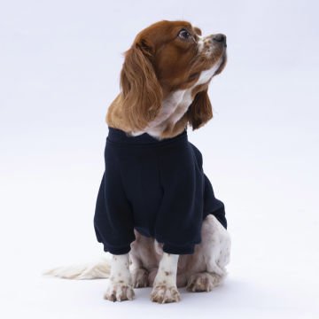 PawStar Siyah Chogqing Sweat Küçük ve Orta Irk