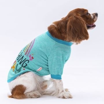 PawStar Mint Everything Will Be Okay Küçük Irk Sweat