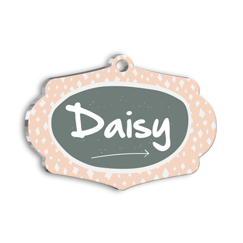 Krem Gri Kedi Köpek Künyesi Large 4,7 x 3,38 cm