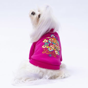 PawStar Pembe Chogqing Sweat Küçük ve Orta Irk