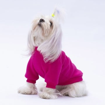 PawStar Pembe Chogqing Sweat Küçük ve Orta Irk