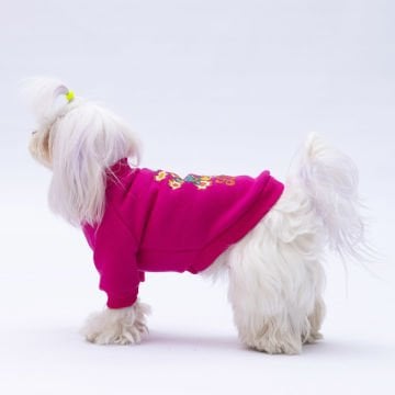 PawStar Pembe Chogqing Sweat Küçük ve Orta Irk