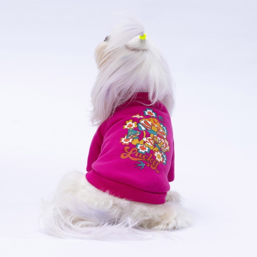 PawStar Pembe Chogqing Sweat Küçük ve Orta Irk