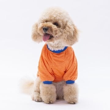 PawStar Turuncu Everything Will Be Okay Küçük Irk Sweat