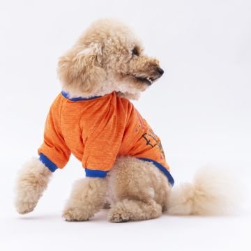 PawStar Turuncu Everything Will Be Okay Küçük Irk Sweat
