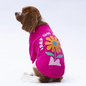 PawStar Pembe Lahti Sweat Küçük ve Orta Irk