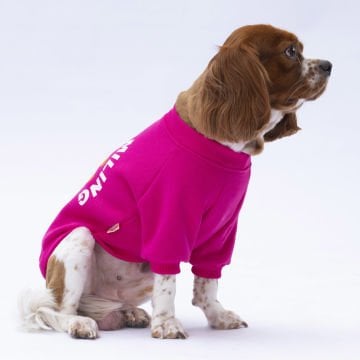 PawStar Pembe Lahti Sweat Küçük ve Orta Irk