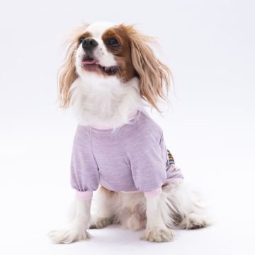 PawStar Lila Everything Will Be Okay Küçük Irk Sweat