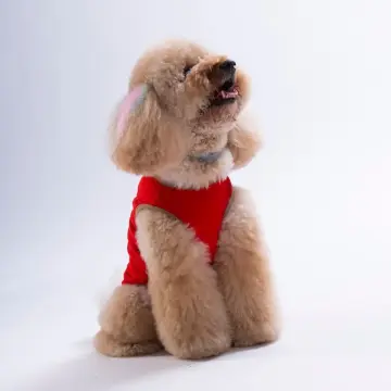 PawStar 26807 Kırmızı Donut Teddy Tişört