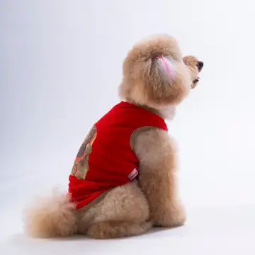 PawStar 26807 Kırmızı Donut Teddy Tişört