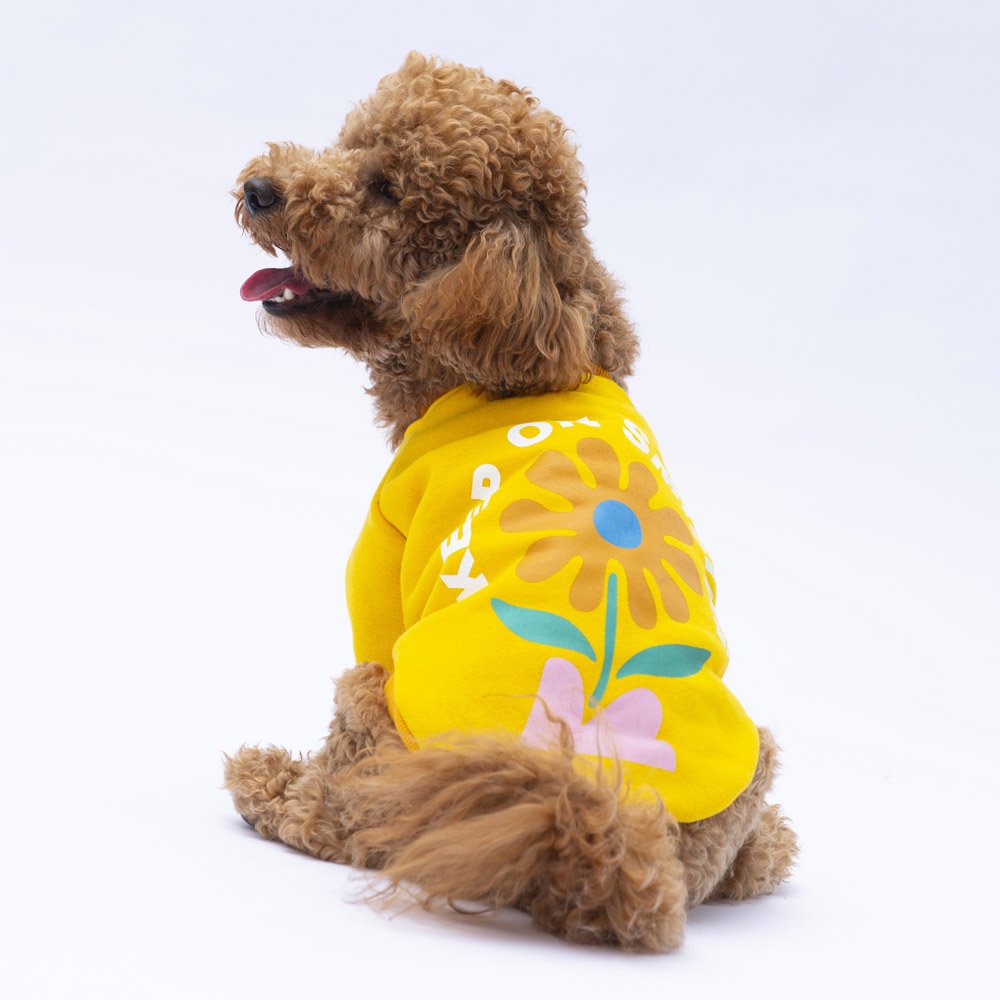 PawStar Sarı Lahti Sweat Küçük ve Orta Irk