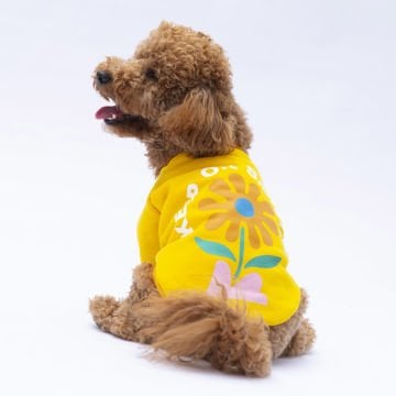 PawStar Sarı Lahti Sweat Küçük ve Orta Irk