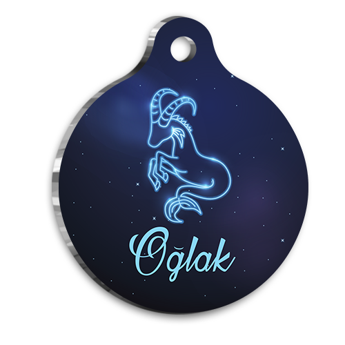 PetTagArt QR-GY0046-M QR Tag Smart ID Akıllı Kimlik