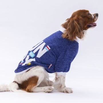 PawStar Mavi Fun Day Küçük Irk Sweat