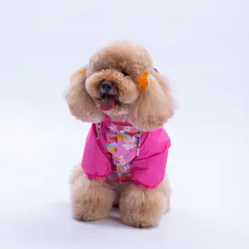 PawStar 25509 Florence Daisy Yağmurluk