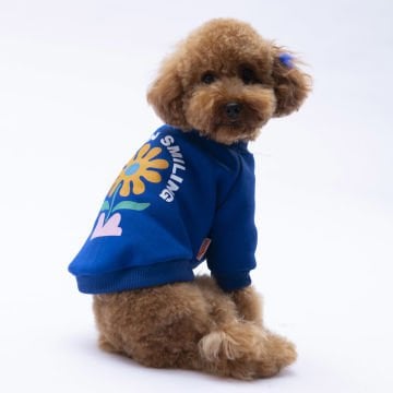 PawStar Sax Mavi Lahti Sweat Küçük ve Orta Irk