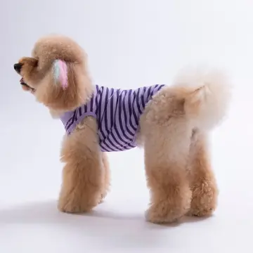 PawStar 26822 Smile EmbroLine Tişört