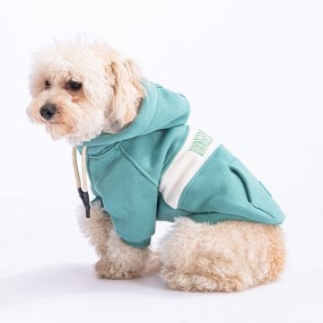PawStar Yeşil Cute Hoodie Küçük ve Orta Irk