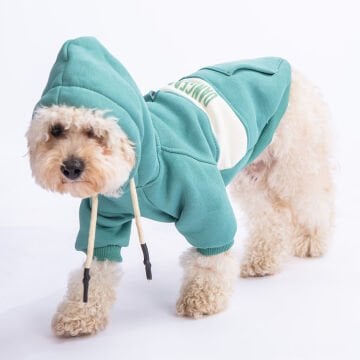 PawStar Yeşil Cute Hoodie Küçük ve Orta Irk