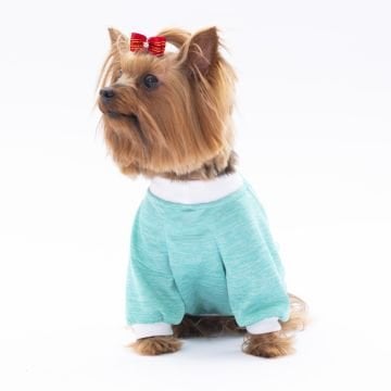 PawStar Mint Fun Day Küçük Irk Sweat