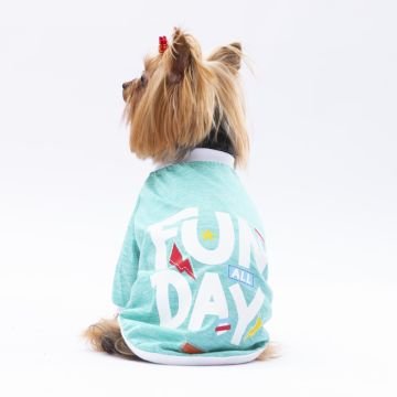 PawStar Mint Fun Day Küçük Irk Sweat