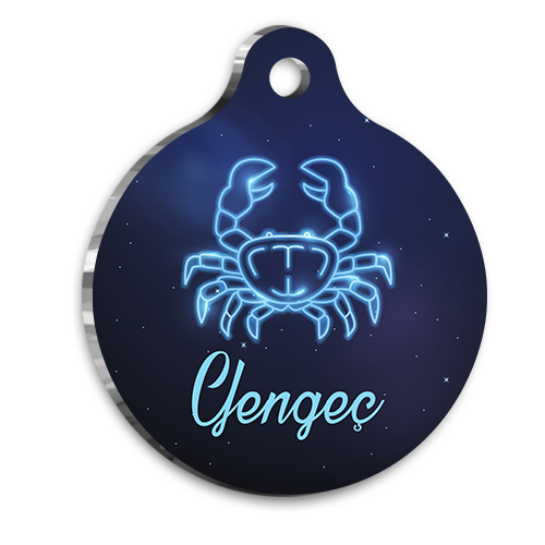 PetTagArt QR-GY0040-M QR Tag Smart ID Akıllı Kimlik