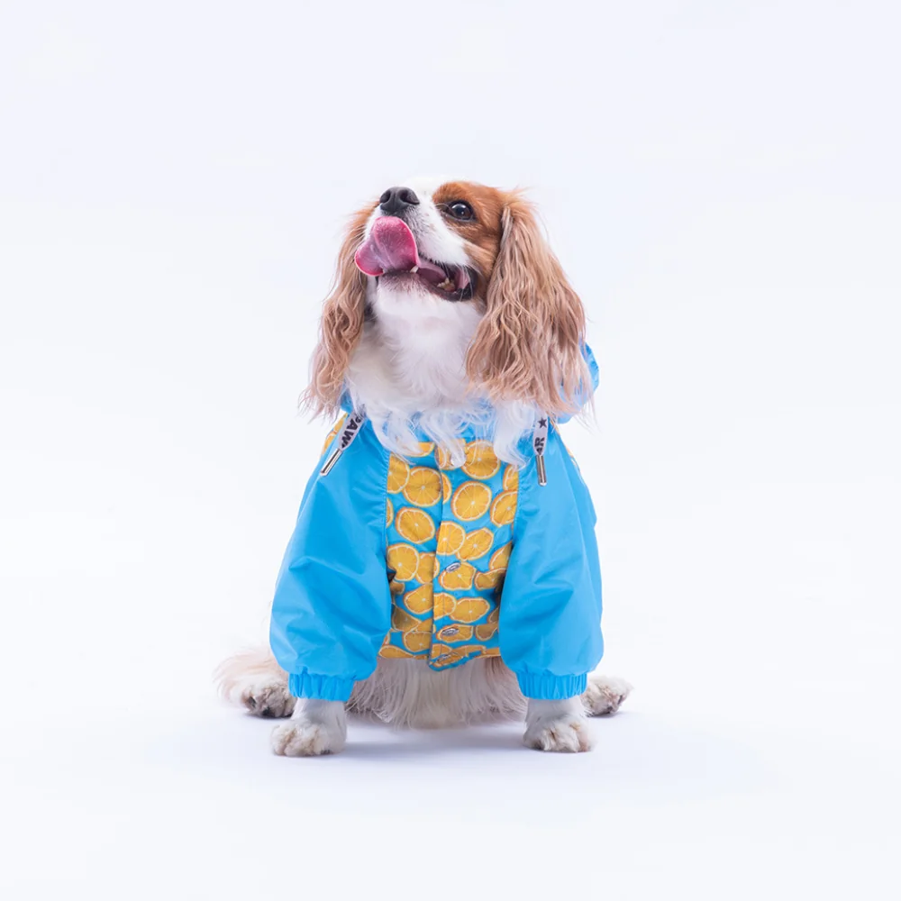 PawStar 25510 Nice Citrus Yağmurluk