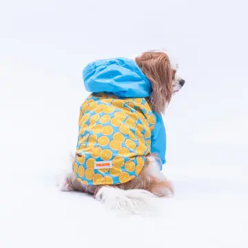 PawStar 25510 Nice Citrus Yağmurluk