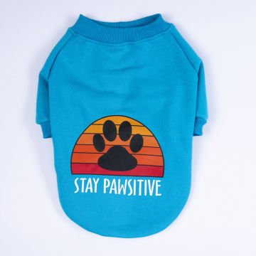 PawStar Turkuaz Carmel Büyük Irk Sweat