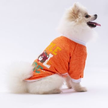PawStar Turuncu Dude Küçük Irk Sweat
