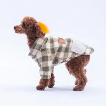 PawStar 25206-Yeşil Chicago Ceket