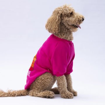PawStar Pembe Carmel Büyük Irk Sweat