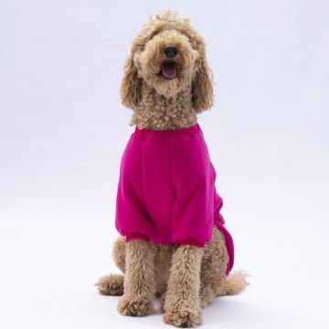 PawStar Pembe Carmel Büyük Irk Sweat