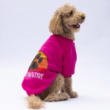 PawStar Pembe Carmel Büyük Irk Sweat