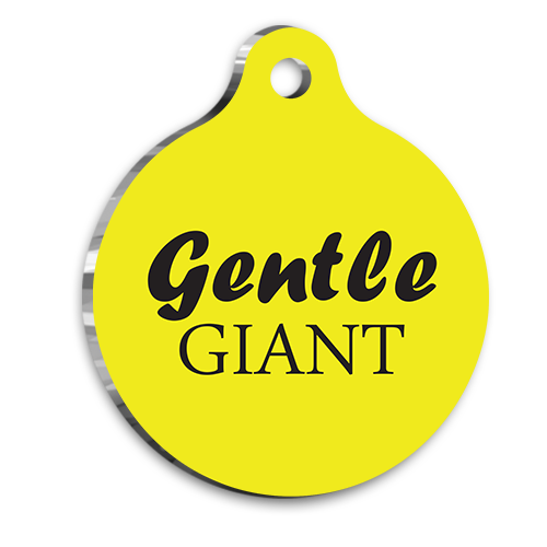 Nazik Dev Kedi Köpek Künyesi Medium 2,6 x 3,8 cm