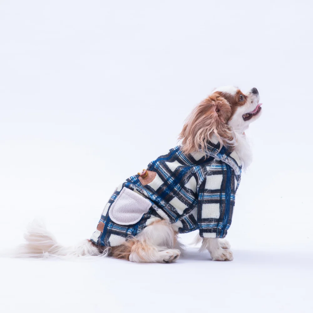 PawStar 25205-Mavi Chicago Ceket